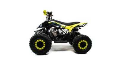 Квадроцикл детский MotoLand (Мотолэнд) VOX125 RAPTOR A (машинокомплект) Квадроцикл детский MotoLand (Мотолэнд) VOX125 RAPTOR A (машинокомплект)