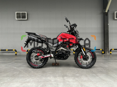 Мотоцикл дорожный Regulmoto (Регулмото) DUKE PRO красный с ПТС